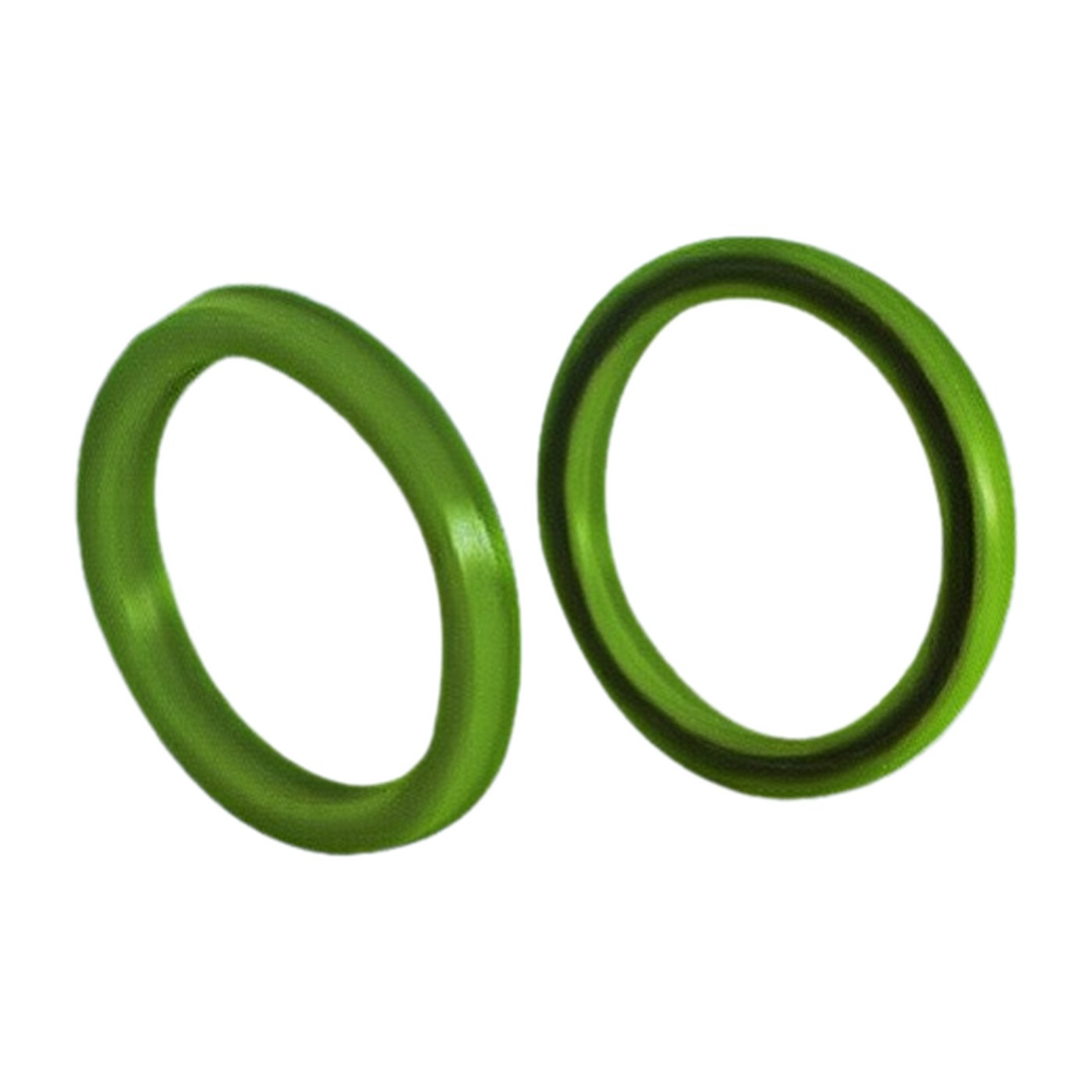 cylinder dust seal