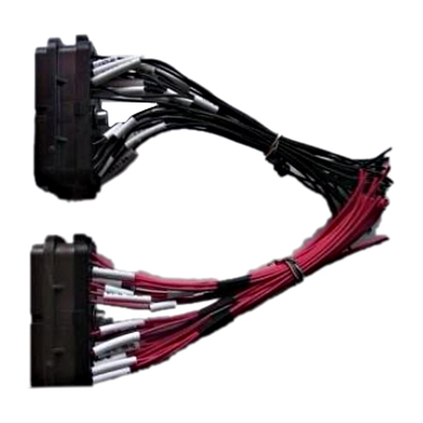 ECU plug