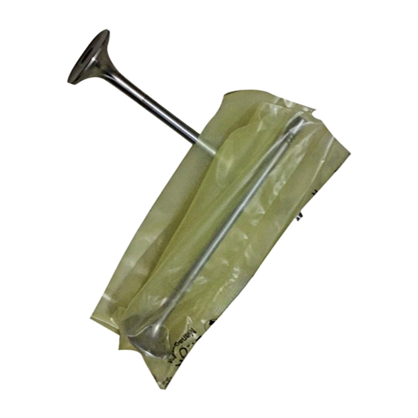 exhaust valve