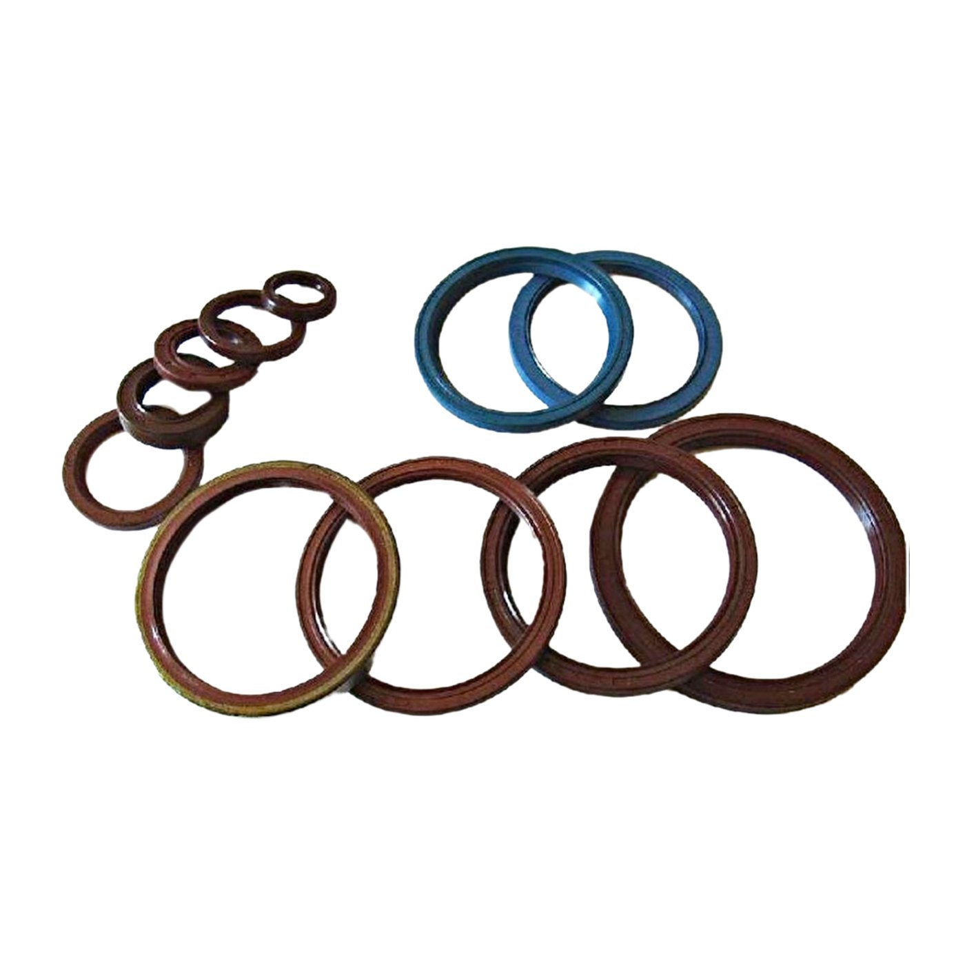 foot valve oil seal repair kit
