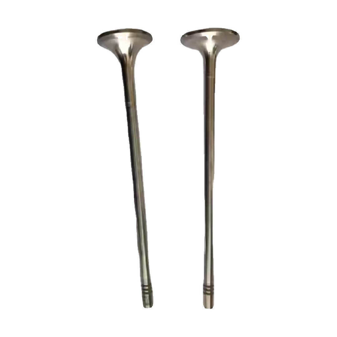 Construction machinery Parts D13 Engine Valves 20768519 21016539 Used Suitable for VOLVO Engine 20768519 21016539