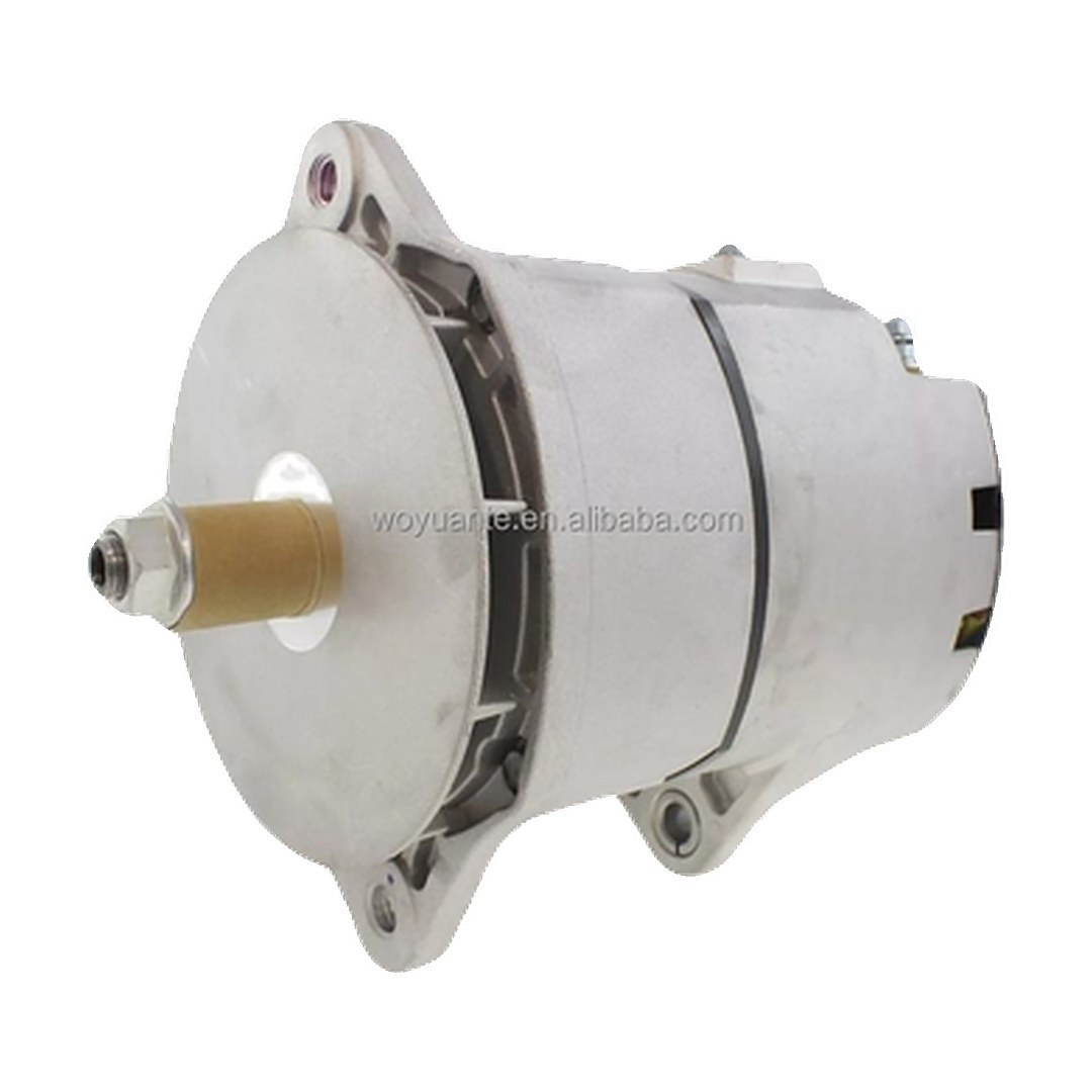 Alternator 19011165 4078701 10459359 for 33S1 Marine Engine 24V 100A 19011165 4078701 10459359
