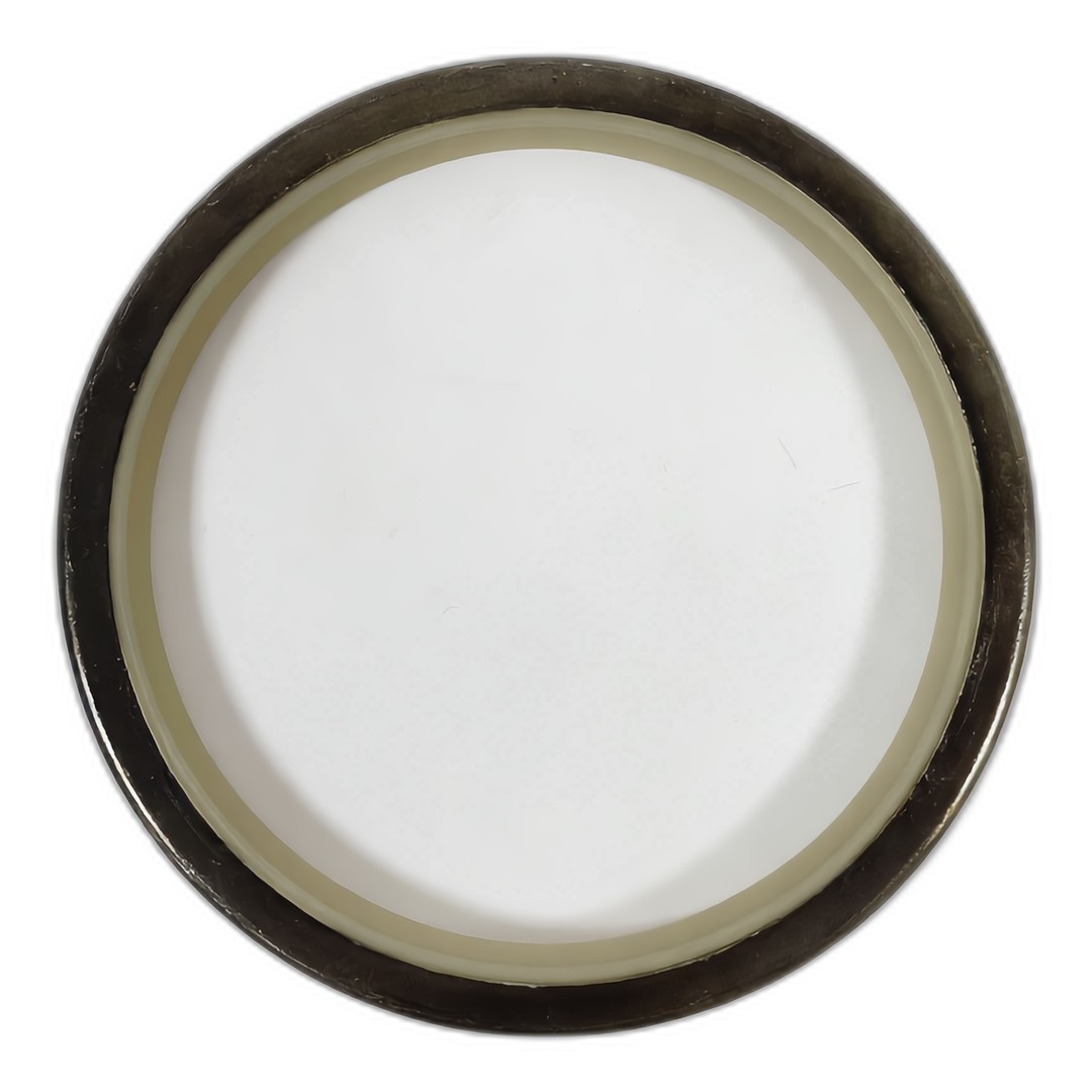 CAT Lip Oil Seal 166-1495 166-1494 1661495 1661494 166-1495 / 166-1494 / 1661495 / 1661494